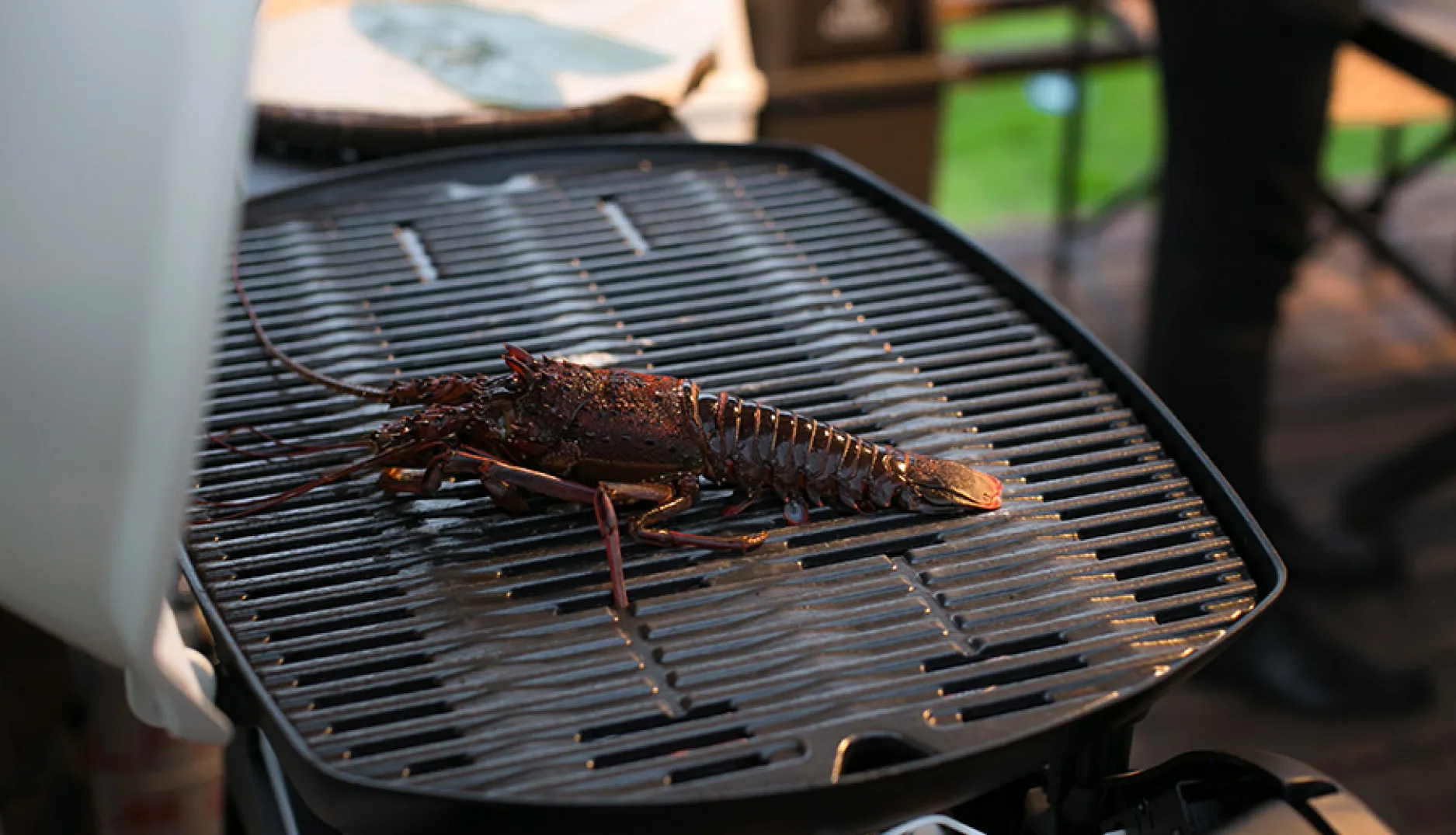 伊勢を味わう伊勢海老グランピングBBQプラン